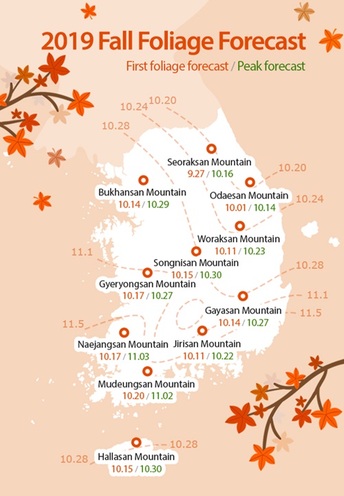 Компания метеорологических наблюдений «Weatheri» сообщила, что в этом году первый сезон «Танпхун» начнётся 27 сентября в горах Сораксан. Пик поры «танпхун», когда окрашивается около 80% листьев, наступит через две недели. / Фото: Национальная организация туризма Кореи